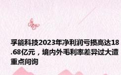 孚能科技2023年净利润亏损高达18.68亿元，境内外毛利率差异过大遭重点问询