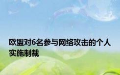 欧盟对6名参与网络攻击的个人实施制裁