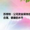 苏博特：公司资金保持在稳健、合理、健康的水平