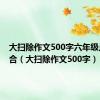 大扫除作文500字六年级点面结合（大扫除作文500字）