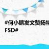 #何小鹏发文赞扬特斯拉FSD#