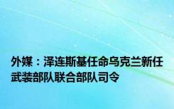 外媒：泽连斯基任命乌克兰新任武装部队联合部队司令