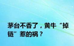 茅台不香了，黄牛“掉链”惹的祸？