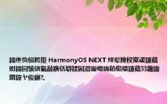 鍗庝负楦胯挋 HarmonyOS NEXT 绯荤粺杈撳叆鑳藉姏鍗囩骇锛氭敮鎸佸壀鍒囨澘璇嗗埆銆佹櫤鑳藉叧鑱旇緭鍏ヤ俊鎭?,