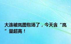 大连被岚图包场了，今天含“岚”量超高！