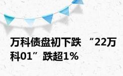 万科债盘初下跌 “22万科01”跌超1%