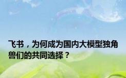 飞书，为何成为国内大模型独角兽们的共同选择？