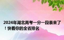 2024年湖北高考一分一段表来了！快看你的全省排名