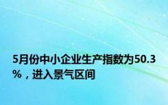 5月份中小企业生产指数为50.3%，进入景气区间