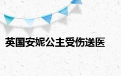 英国安妮公主受伤送医