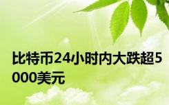 比特币24小时内大跌超5000美元