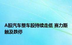 A股汽车整车股持续走低 赛力斯触及跌停