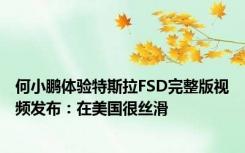 何小鹏体验特斯拉FSD完整版视频发布：在美国很丝滑