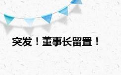 突发！董事长留置！