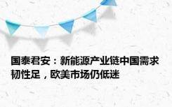 国泰君安：新能源产业链中国需求韧性足，欧美市场仍低迷