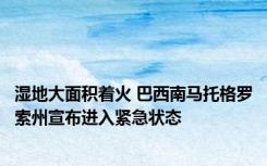 湿地大面积着火 巴西南马托格罗索州宣布进入紧急状态