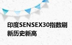 印度SENSEX30指数刷新历史新高