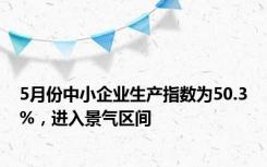 5月份中小企业生产指数为50.3%，进入景气区间