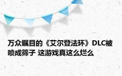 万众瞩目的《艾尔登法环》DLC被喷成筛子 这游戏真这么烂么