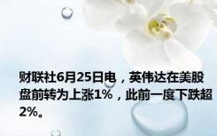 财联社6月25日电，英伟达在美股盘前转为上涨1%，此前一度下跌超2%。