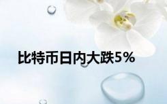 比特币日内大跌5%