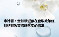 审计署：金融领域存在套取政策红利妨碍政策措施落实的情况