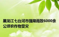 黑龙江七台河市强降雨致6000余公顷农作物受灾