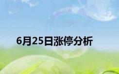 6月25日涨停分析