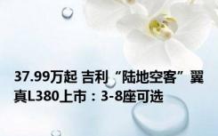 37.99万起 吉利“陆地空客”翼真L380上市：3-8座可选