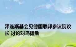 泽连斯基会见德国联邦参议院议长 讨论对乌援助