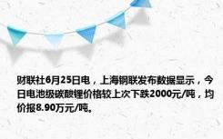 财联社6月25日电，上海钢联发布数据显示，今日电池级碳酸锂价格较上次下跌2000元/吨，均价报8.90万元/吨。