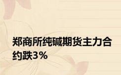 郑商所纯碱期货主力合约跌3%