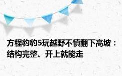 方程豹豹5玩越野不慎翻下高坡：结构完整、开上就能走