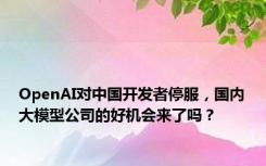 OpenAI对中国开发者停服，国内大模型公司的好机会来了吗？