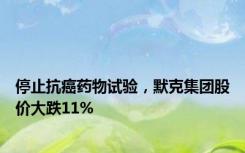 停止抗癌药物试验，默克集团股价大跌11%