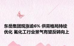 东岳集团现涨逾6% 供需格局持续优化 氟化工行业景气有望反转向上