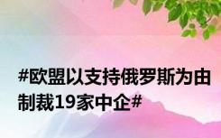 #欧盟以支持俄罗斯为由制裁19家中企#