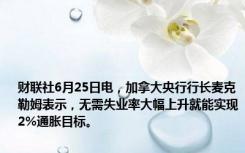 财联社6月25日电，加拿大央行行长麦克勒姆表示，无需失业率大幅上升就能实现2%通胀目标。