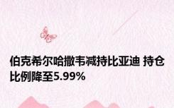 伯克希尔哈撒韦减持比亚迪 持仓比例降至5.99%