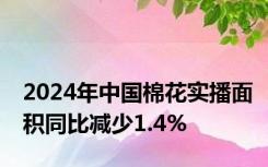 2024年中国棉花实播面积同比减少1.4%