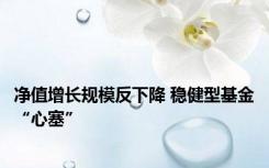 净值增长规模反下降 稳健型基金“心塞”