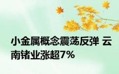 小金属概念震荡反弹 云南锗业涨超7%