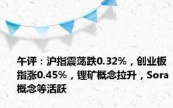 午评：沪指震荡跌0.32%，创业板指涨0.45%，锂矿概念拉升，Sora概念等活跃