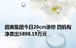 因赛集团今日20cm涨停 四机构净卖出5898.19万元