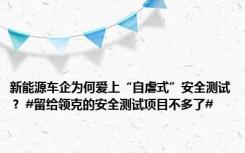 新能源车企为何爱上“自虐式”安全测试？ #留给领克的安全测试项目不多了#