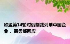 欧盟第14轮对俄制裁列单中国企业， 商务部回应