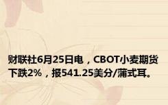 财联社6月25日电，CBOT小麦期货下跌2%，报541.25美分/蒲式耳。