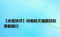 【央视快评】向着航天强国目标勇毅前行