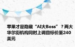 苹果才是隐藏“AI大Boss”？两大华尔街机构同时上调目标价至240美元