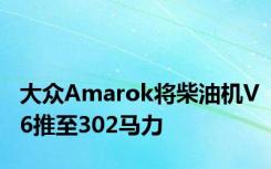 大众Amarok将柴油机V6推至302马力